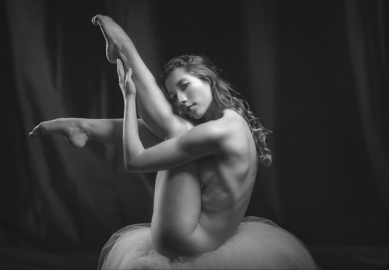the elegance and gracefulness of poppy artistic nude artwork by photographer dieter kaupp