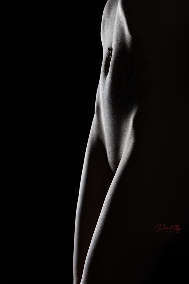 the flow artistic nude photo by photographer dk artistics