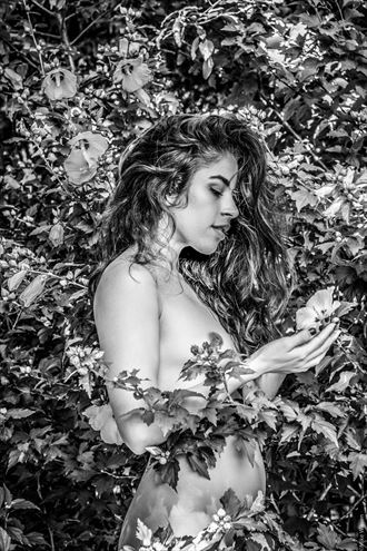 the flower artistic nude photo by photographer mikewarren