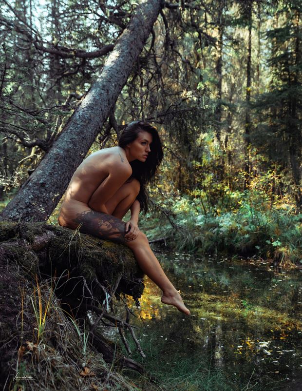 the forest artistic nude artwork by model kait byce
