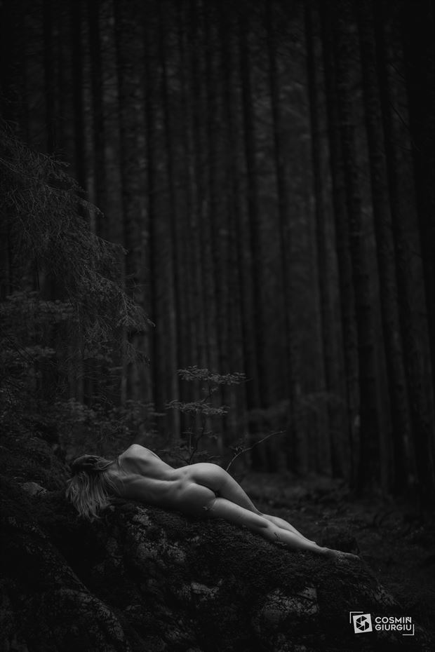 the forest beauty artistic nude artwork by photographer cosmin_giurgiu