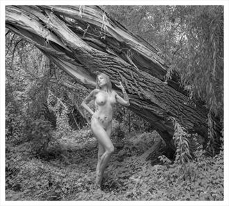 the forest no 563 artistic nude photo by photographer g r nylander
