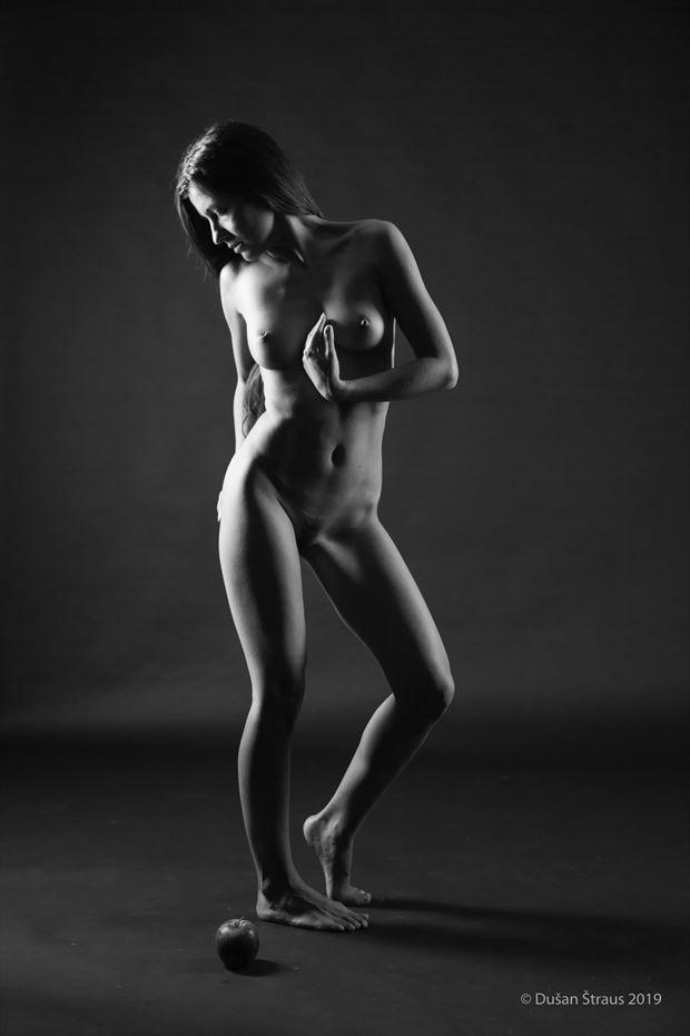 the game with apple ii artistic nude photo by photographer du%C5%A1an %C5%A1traus