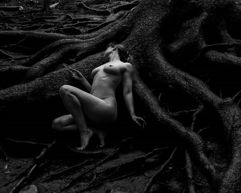 the grandfather tree 2 artistic nude photo by photographer iancentric