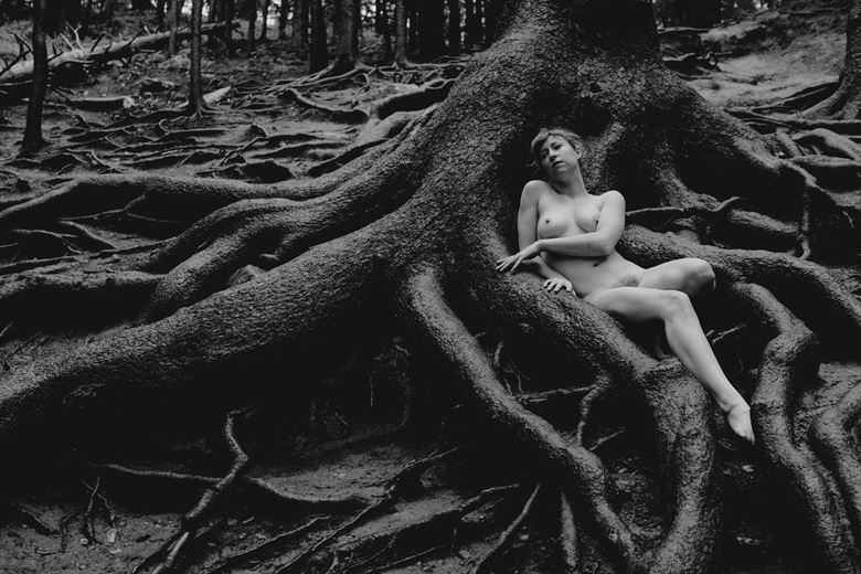 the grandfather tree artistic nude photo by photographer iancentric