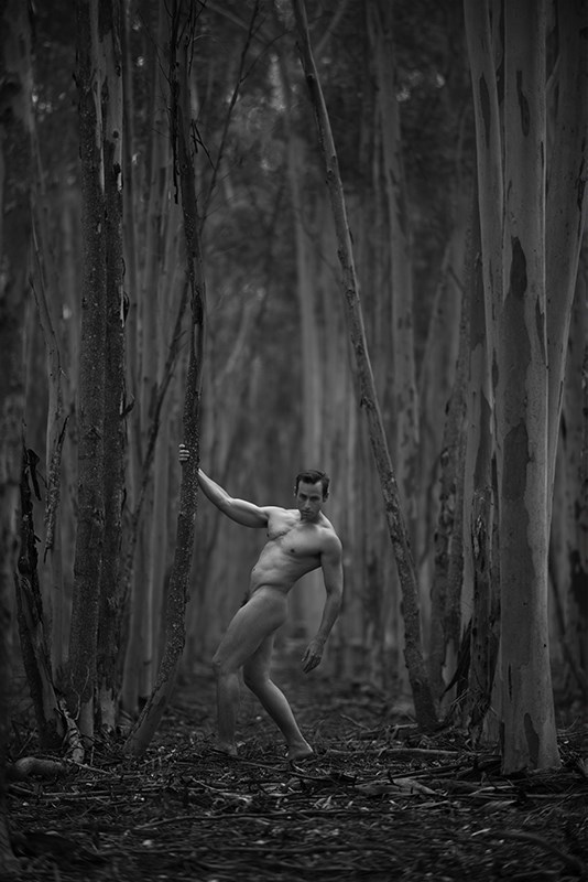 the gumtree plantation Artistic Nude Photo by Photographer Ross Spirou