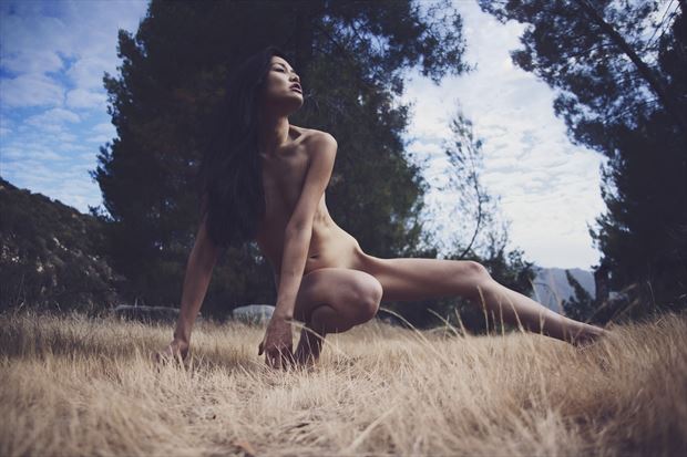 the hills of los angeles artistic nude photo by photographer deimos