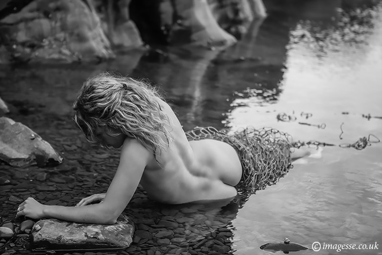 the last mermaid Artistic Nude Photo by Photographer imagesse
