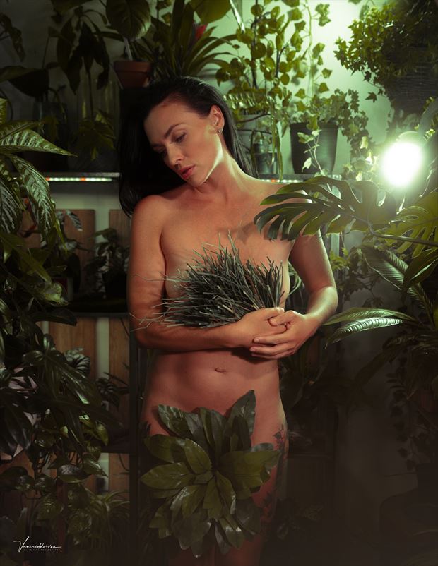 the little garden artistic nude photo by model kait byce