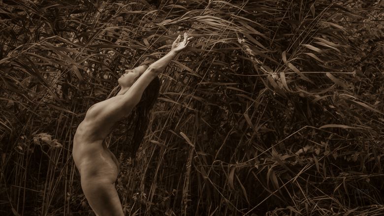 the magical sounds of the wind artistic nude photo by photographer visions dt