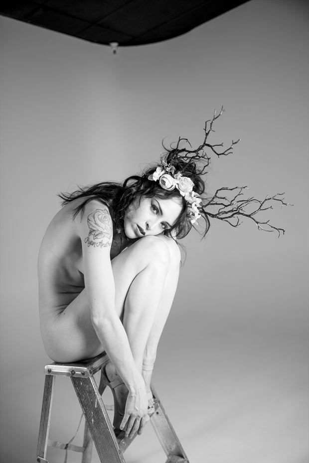 the muse erotic photo by photographer lance miller