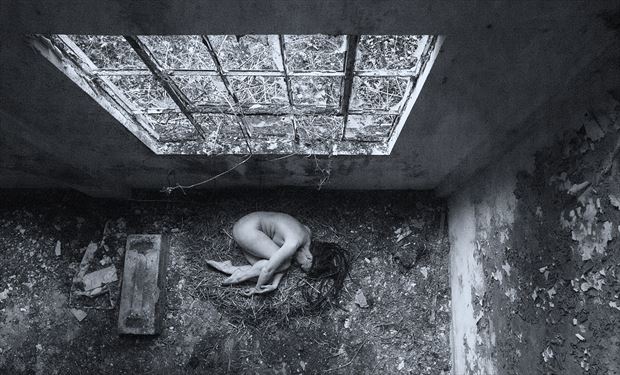 the nest artistic nude photo by photographer serenesunrise