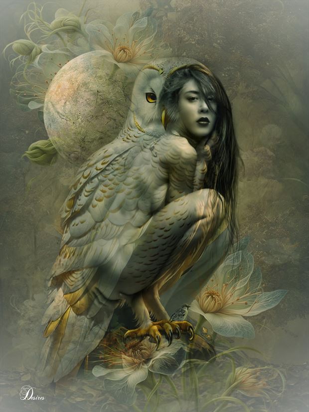 the night owl artistic nude artwork by artist digital desires