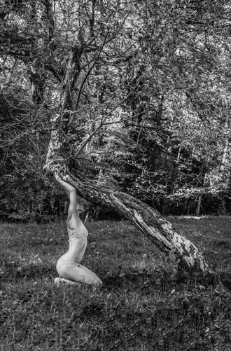 the old apple tree artistic nude photo by photographer brian cann
