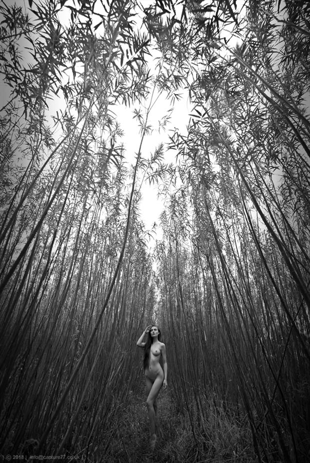 the old bamboo artistic nude photo by photographer capture 77 images