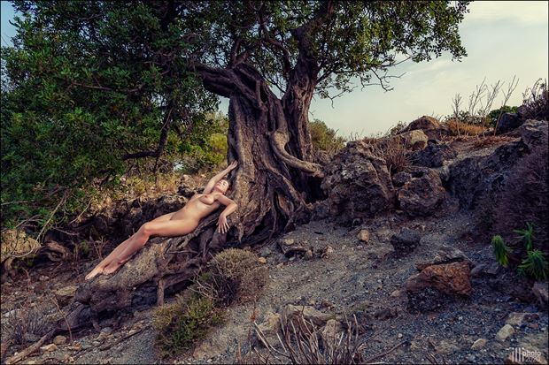 the old tree artistic nude photo by photographer thomas illhardt