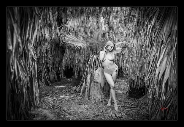 the palm grotto artistic nude photo by photographer doug harding