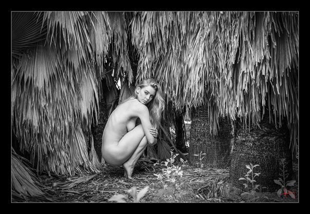 the palm tree santucary artistic nude photo by photographer doug harding