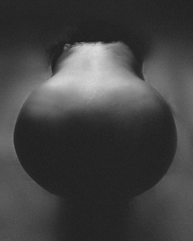 the pear figure study artwork by photographer biplab sikdar