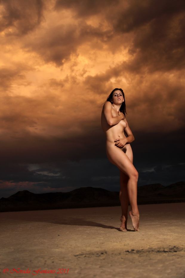 the pending maelstrom artistic nude photo by photographer nevada fantasies
