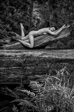 the primeval forest artistic nude photo by photographer philip turner