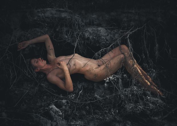 the root system artistic nude photo by photographer the artlaw