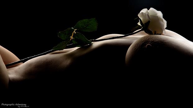 the rose artistic nude photo by photographer pabyar