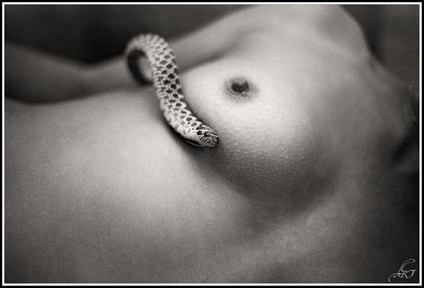 the serpent artistic nude photo by photographer alant