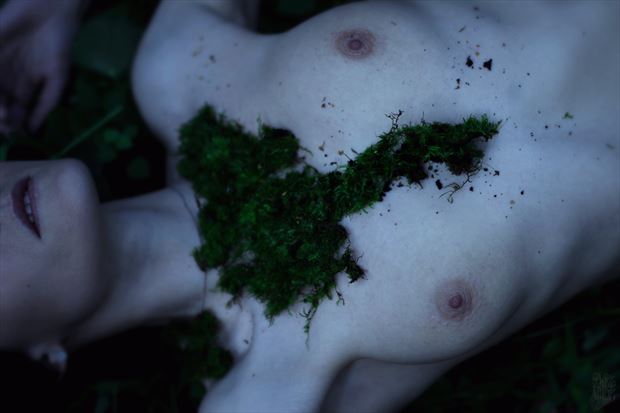 the soul covered in moss artistic nude photo by photographer natalie ina