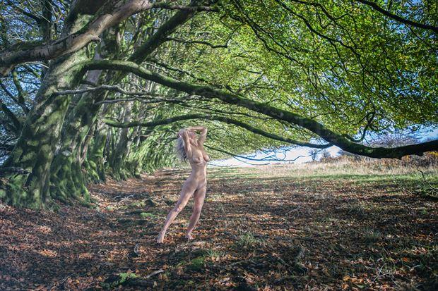 the sweep of the trees artistic nude photo by model helen saunders