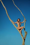 the tree artistic nude photo by model alexandra k