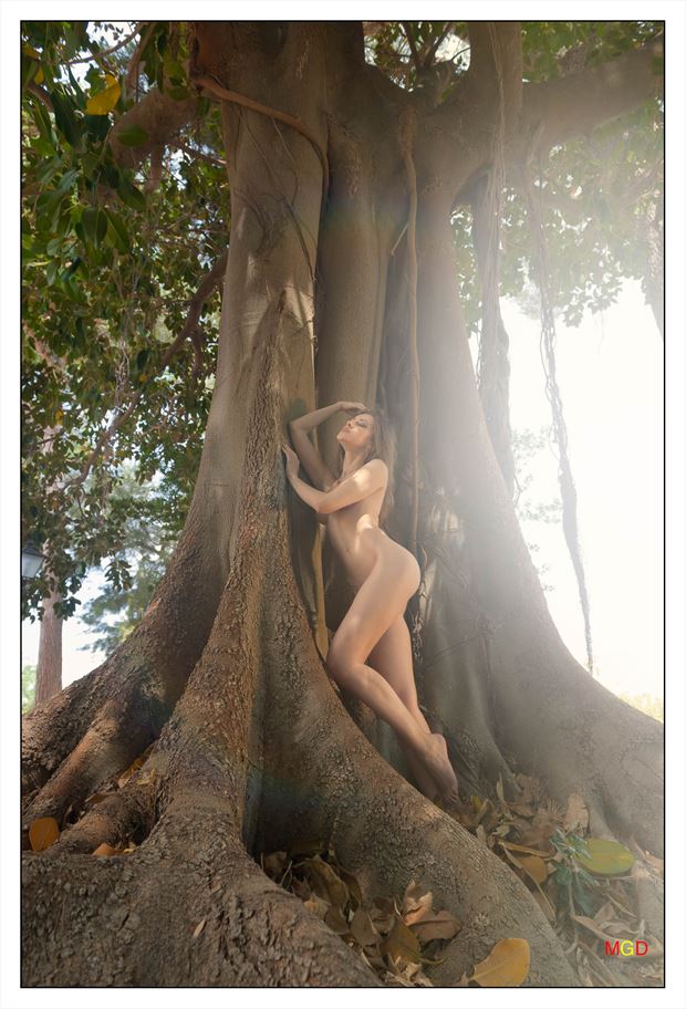 the tree artistic nude photo by photographer fotovela