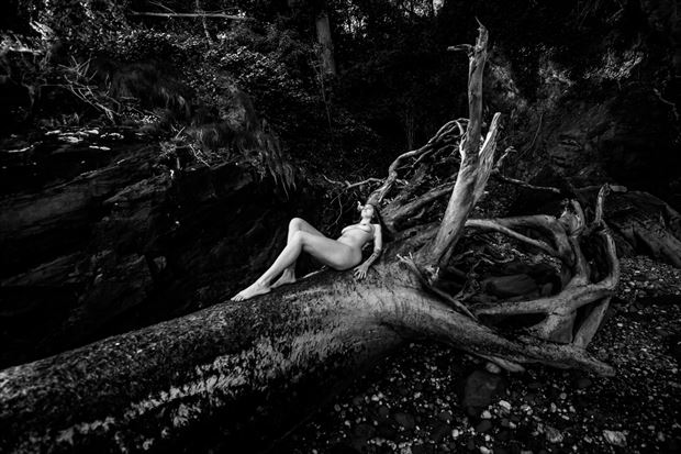 the tree artistic nude photo by photographer photogenick