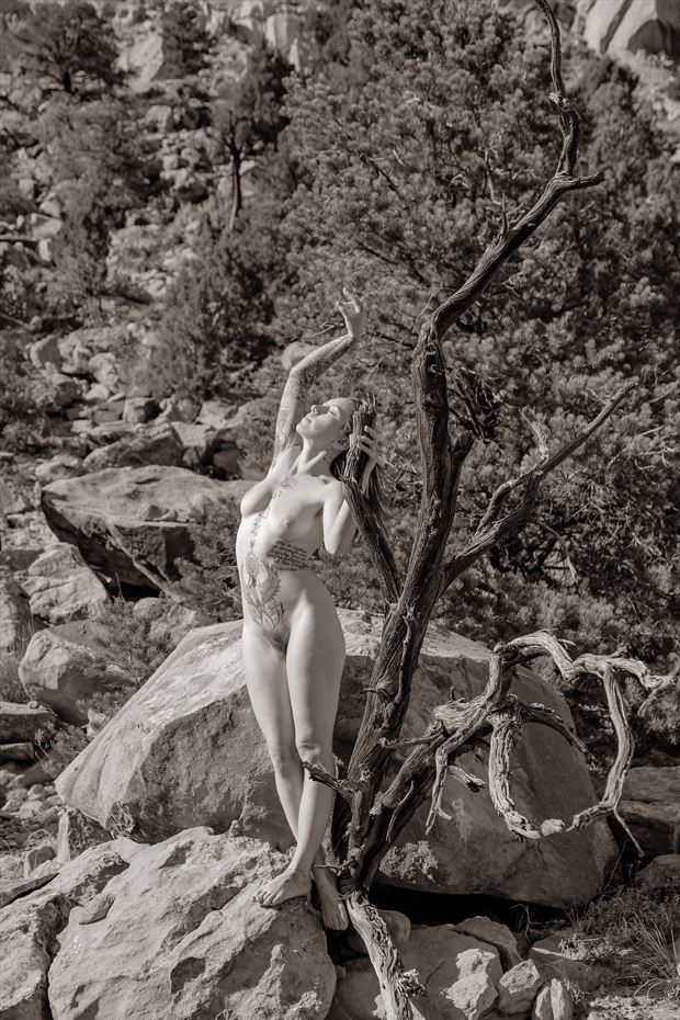 the tree is me into the tree i see artistic nude photo by model skylar rae dawn