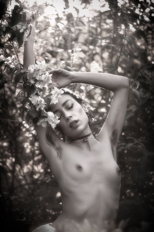 the unsearchable and secret aims of nature artistic nude photo by model rebeccatun