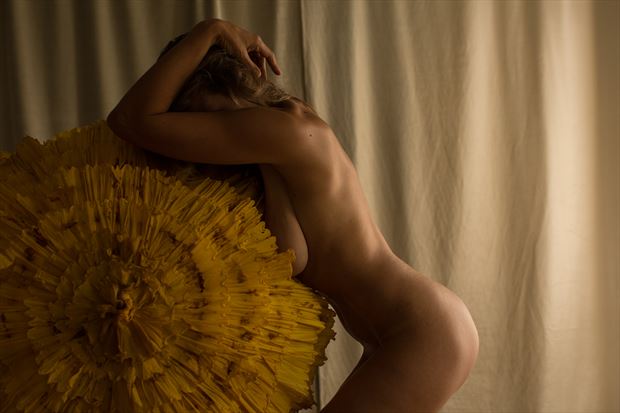 the yellow umbrella 12 artistic nude photo by photographer 