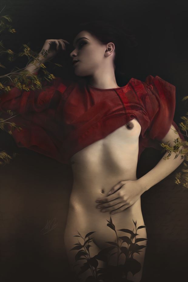 thorns for roses artistic nude artwork by artist todd f jerde