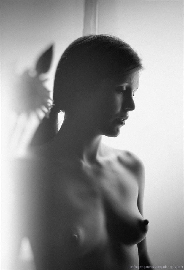 thoughts out the window artistic nude photo by model jessa ray muse