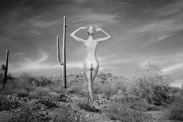 tiffany 2021 artistic nude photo by photographer nicestuffpix