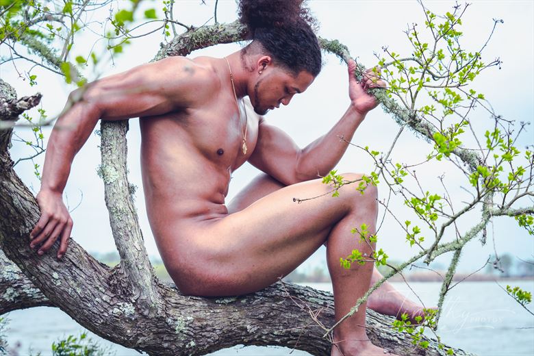 tim in a tree artistic nude photo by photographer timothylee photos
