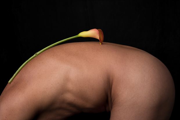 tim with calla lily artistic nude photo by photographer david clifton strawn
