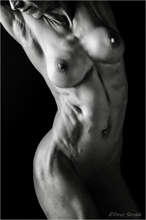 toned torso artistic nude photo by photographer uwtog