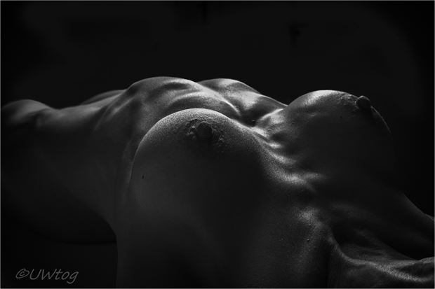 toned torso bodyscape artistic nude photo by photographer uwtog
