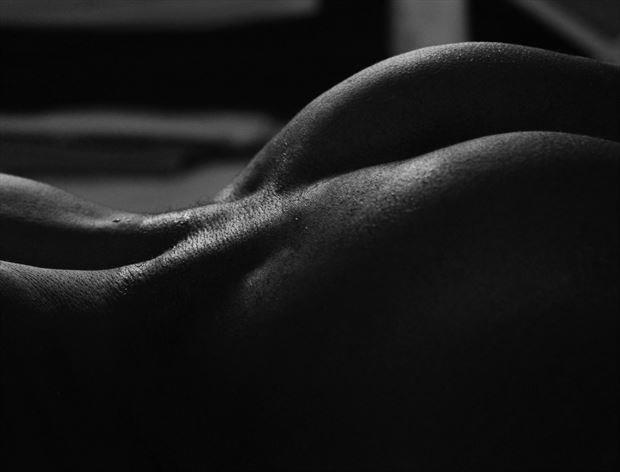 tones in torso 1 artistic nude photo by photographer michael mcintosh