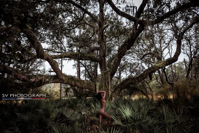 topical tree and nude beauty artistic nude photo by photographer sv photograph