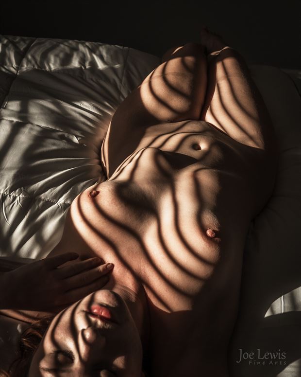 topographic astrid artistic nude photo by photographer joe lewis fine arts