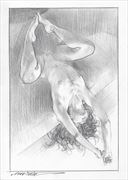topsy turvy erotic artwork by artist james martin