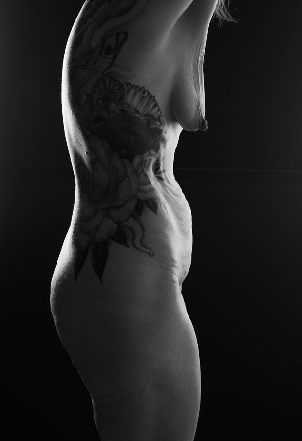 torso 15 artistic nude photo by photographer pop photo studio