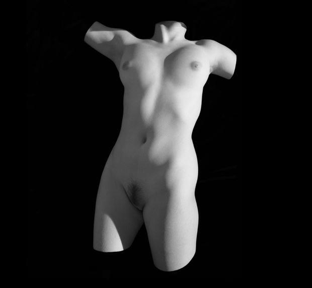 torso 5 artistic nude artwork by photographer arbeit photo hawaii