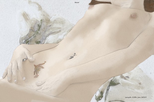 torso Erotic Artwork by Artist ianwh
